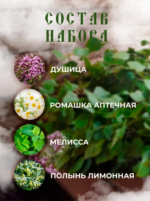 ПарМастер Запарка для чана, ванны и бани Женская формула, вариант, фото 2