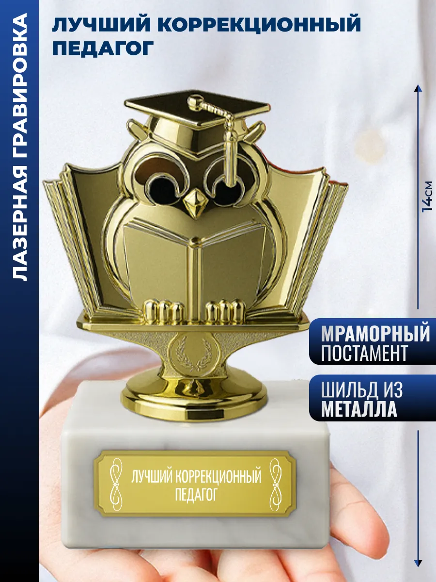 Статуэтка Учёная сова "Лучший коррекционный педагог" (13,8