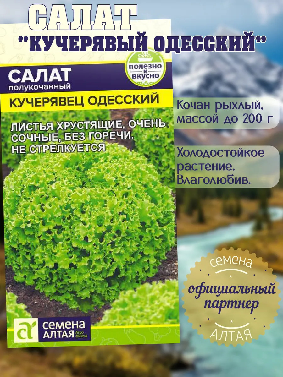 Семена Салат Кучерявец Одесский 0.5г