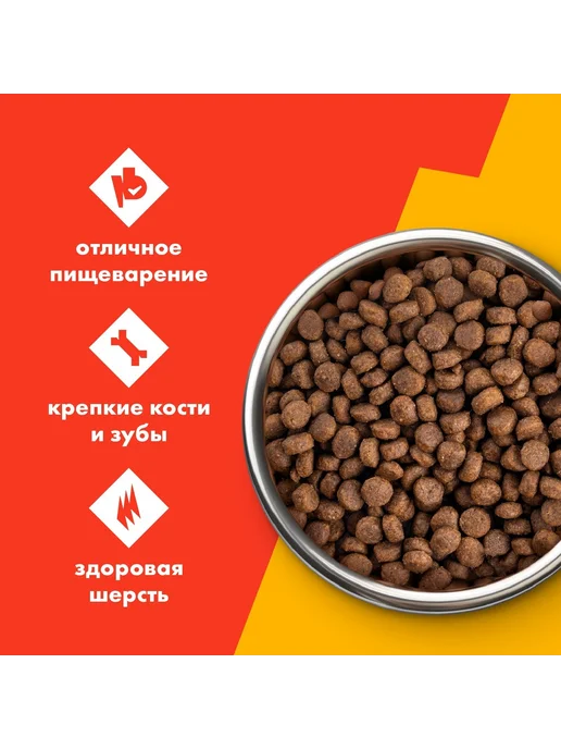 Сухой корм ULTRA для собак, 0,6 кг, фото 3