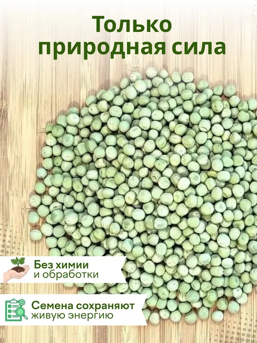 Горох для проращивания 2кг, 2 кг, фото 3