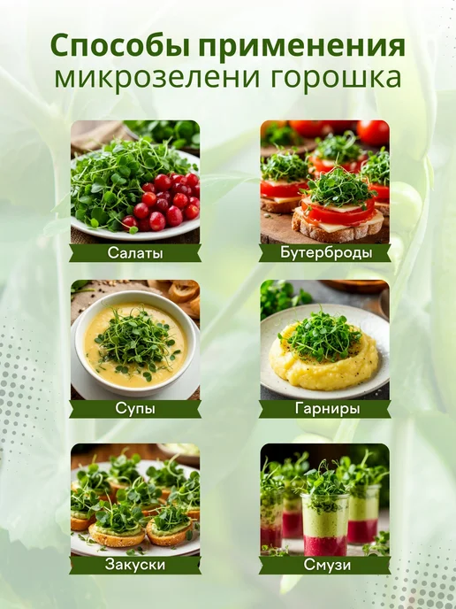 Горох для проращивания 2кг, 2 кг, фото 6
