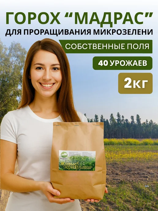 Горох для проращивания 2кг, 2 кг, фото 8