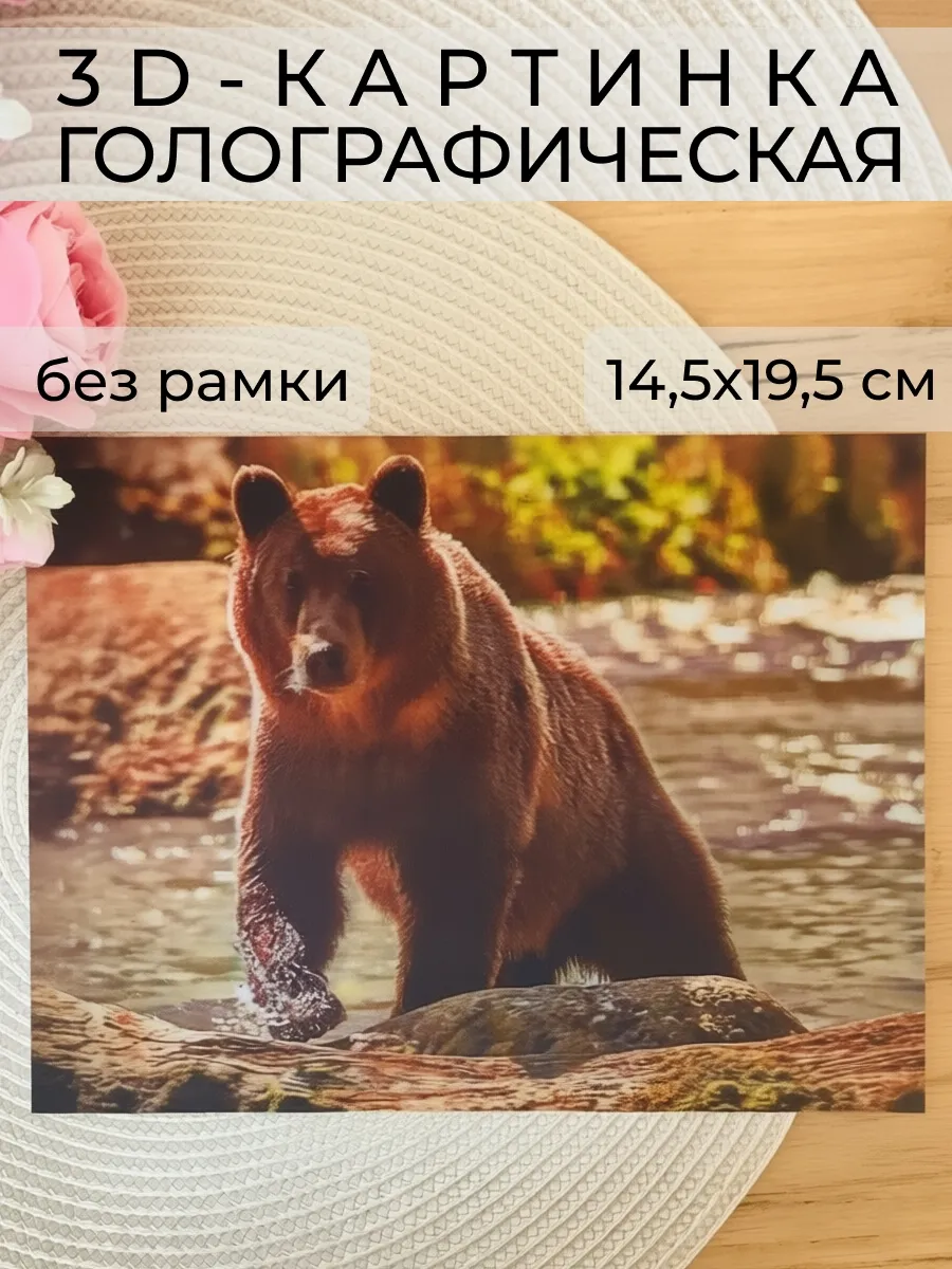 3D картинка «Бурый медведь», 14,5×19,5 см