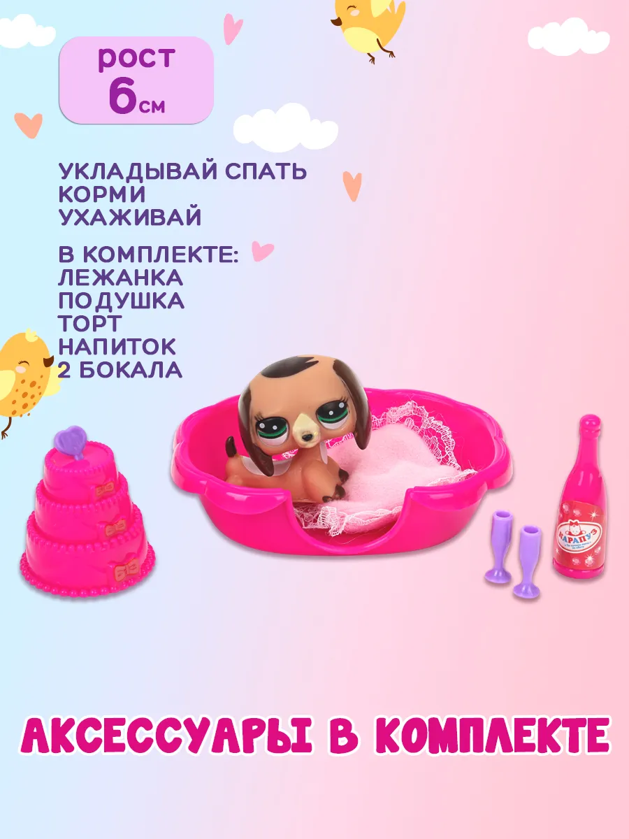 Питомец с аксессуарами
