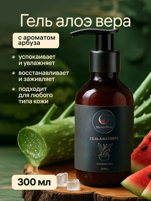 aloe vera pflanzen kaufen Aloe Vera 2 Pflanzen Ø10,5cm 40cm online Zimmerpflanze kaufen