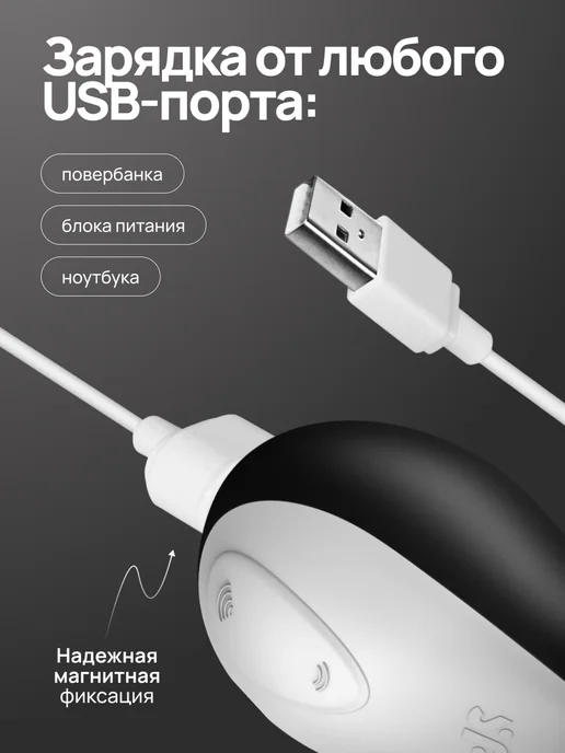 satisfyer Магнитный USB-кабель для зарядки вибраторов Charging Cable, вариант, фото 3