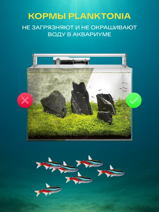 Корм для рыбок аквариумных 70 г (500 мл) Planktonia, 70 г, 500 мл, фото 6